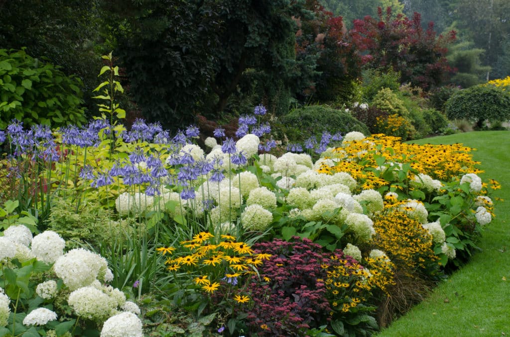 perennial flower garden